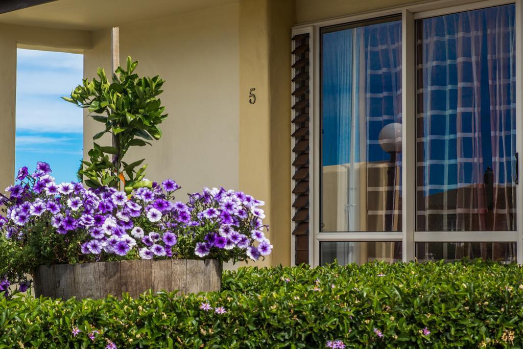 Bella Tuscany Motor Lodge Napier Zewnętrze zdjęcie